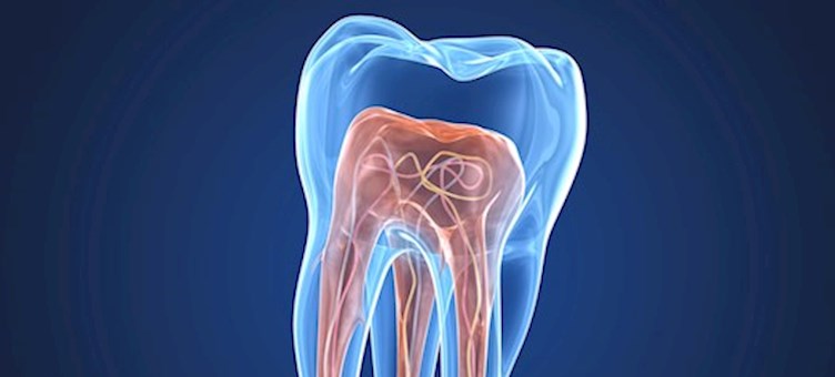Case difficulty assessment in endodontics